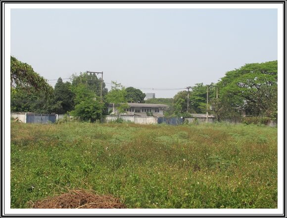 3rai downtown changphark,chiangmai.