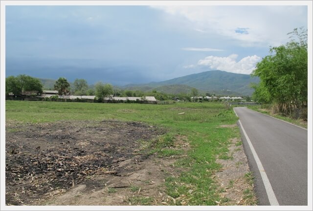 Nongkwai hangdong ricefield, Chiangmai.
