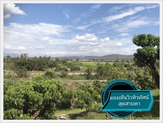 Maetang keelex FruitOrchard hillslope, Chiangmai property.