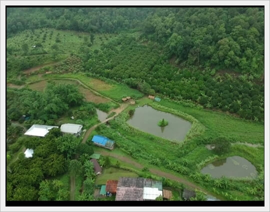 14rai Maetang elephantCamp Chiangmai, property.